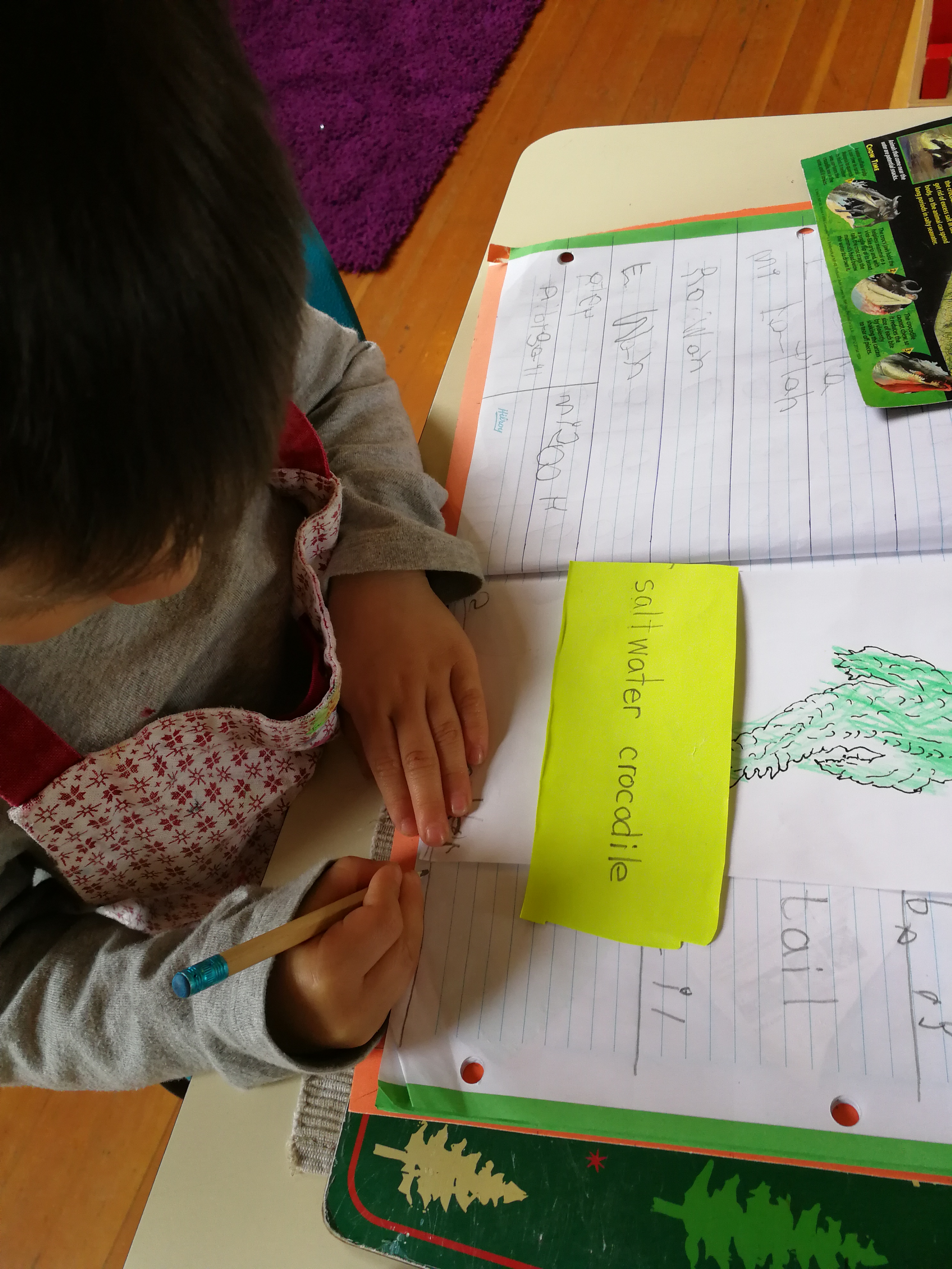 Language learning area