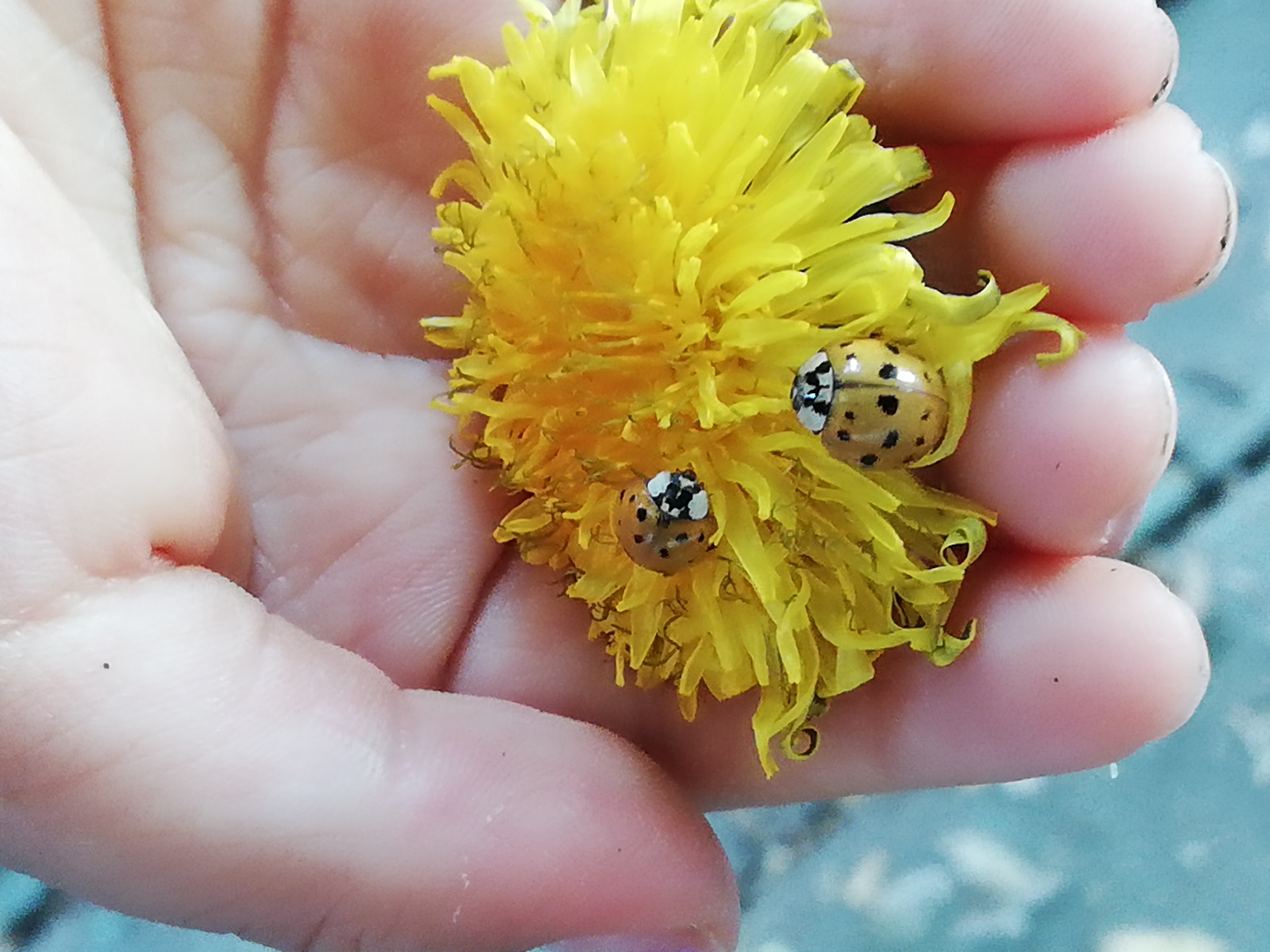 Children working with materials